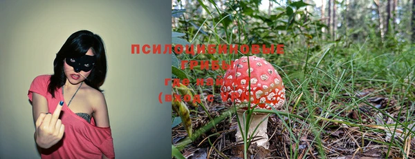 альфа пвп Заволжск