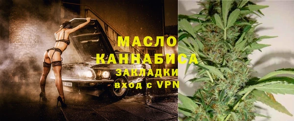 гашик Краснослободск